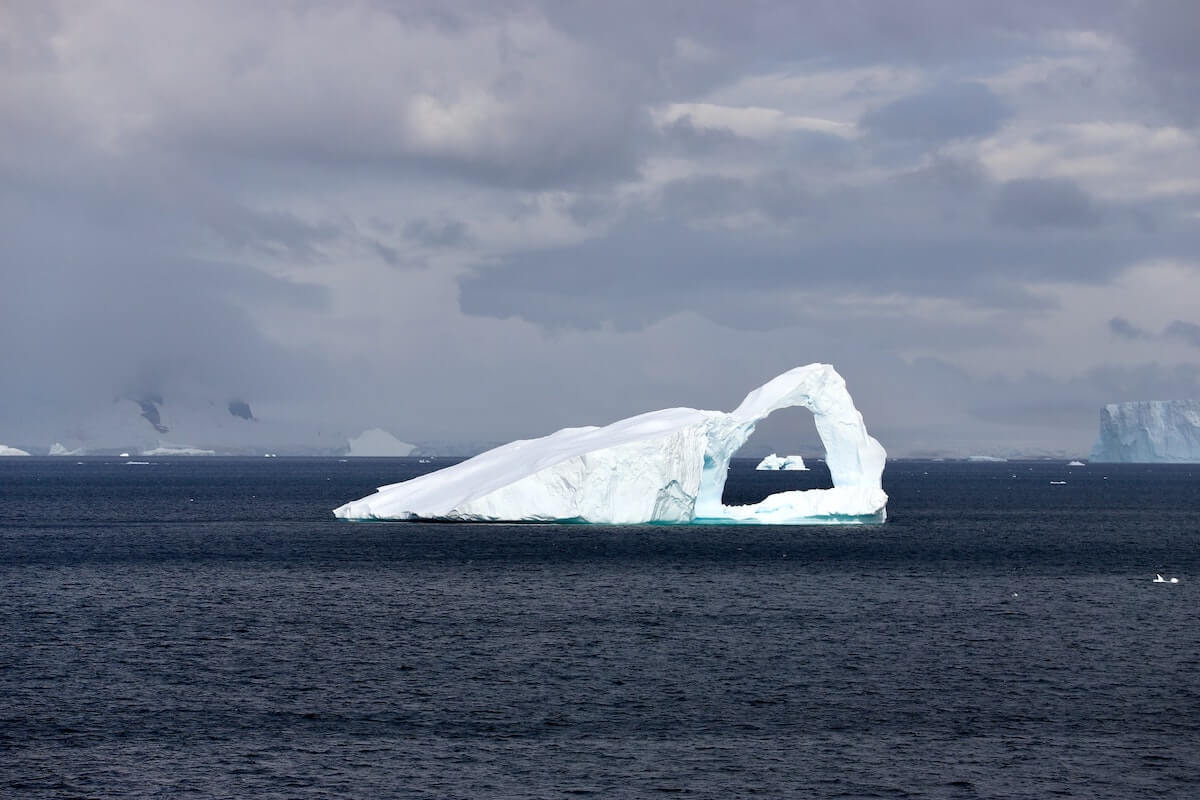 New Life Discovered In Antarctica