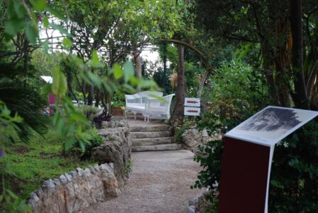 jardin-villa-camelias