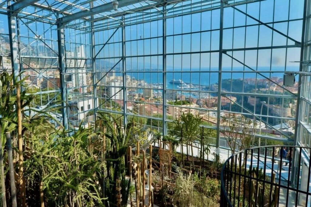 centre-botanique-monaco-succulentes